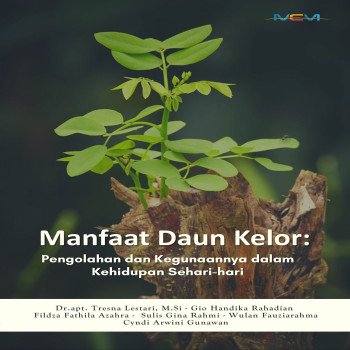 Manfaat Daun Kelor Pengolahan dan Kegunaannya dalam Kehidupan Sehari-hari