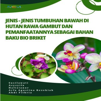 JENIS JENIS TUMBUHAN BAWAH DI HUTAN RAWA GAMBUT DAN PEMANFAATANNYA SEBAGAI BAHAN BAKU BIO BRIKET
